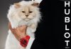 CHOUPETTE แมวผู้โด่งดังและได้รับการดูแลเอาใจใส่อย่างดีมากที่สุดในโลก  ขึ้นแท่นเป็นดาวเด่นในแคมเปญฉลองครบรอบ 20 ปีนาฬิกา BIG BANG ของ HUBLOT