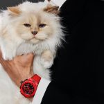 CHOUPETTE แมวผู้โด่งดังและได้รับการดูแลเอาใจใส่อย่างดีมากที่สุดในโลก ขึ้นแท่นเป็นดาวเด่นในแคมเปญฉลองครบรอบ 20 ปีนาฬิกา BIG BANG ของ HUBLOT