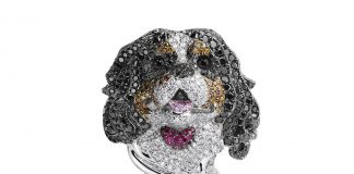 RED CARPET COLLECTION – CAROLINE’S UNIVERSE