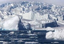 งานวิจัยเตือน อพยพครั้งใหญ่เหตุแผ่นน้ำแข็งโลกละลายเร็วกว่าคาด