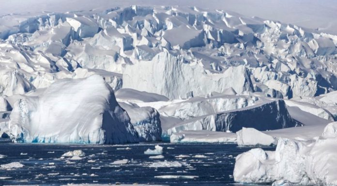 งานวิจัยเตือน อพยพครั้งใหญ่เหตุแผ่นน้ำแข็งโลกละลายเร็วกว่าคาด