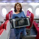 “พาสัตว์เลี้ยงขึ้นเครื่อง” เทรนด์ใหม่สายการบินฮ่องกงยอดจองพุ่งสูง