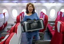 “พาสัตว์เลี้ยงขึ้นเครื่อง” เทรนด์ใหม่สายการบินฮ่องกงยอดจองพุ่งสูง