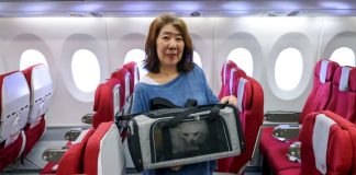 “พาสัตว์เลี้ยงขึ้นเครื่อง” เทรนด์ใหม่สายการบินฮ่องกงยอดจองพุ่งสูง