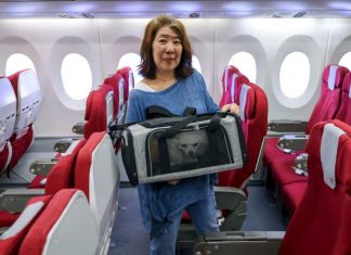 “พาสัตว์เลี้ยงขึ้นเครื่อง” เทรนด์ใหม่สายการบินฮ่องกงยอดจองพุ่งสูง