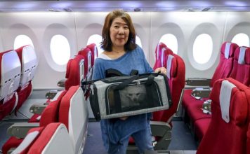 “พาสัตว์เลี้ยงขึ้นเครื่อง” เทรนด์ใหม่สายการบินฮ่องกงยอดจองพุ่งสูง