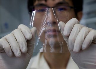 พลิกวิกฤตขยะทะเล ญี่ปุ่นพัฒนาพลาสติกละลายในน้ำได้ภายในชั่วโมง