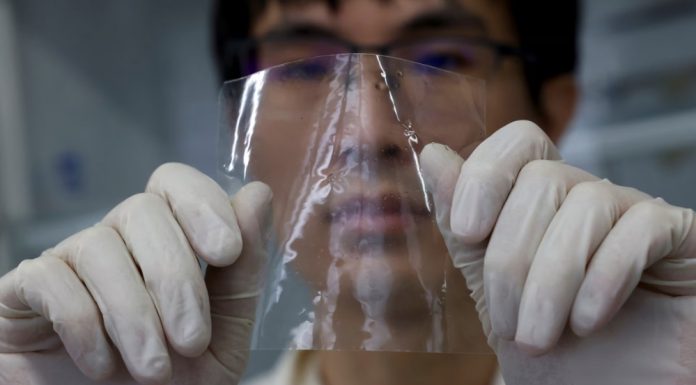 พลิกวิกฤตขยะทะเล ญี่ปุ่นพัฒนาพลาสติกละลายในน้ำได้ภายในชั่วโมง