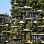 ป่าแนวตั้ง ต้นไม้บนตึกสูง เมื่อเมืองและต้นไม้ผสานกันเพื่อเอาใจคนยุคใหม่