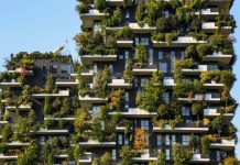 ป่าแนวตั้ง ต้นไม้บนตึกสูง เมื่อเมืองและต้นไม้ผสานกันเพื่อเอาใจคนยุคใหม่