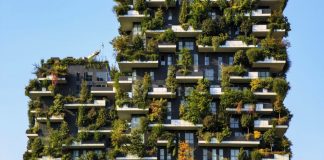 ป่าแนวตั้ง ต้นไม้บนตึกสูง เมื่อเมืองและต้นไม้ผสานกันเพื่อเอาใจคนยุคใหม่