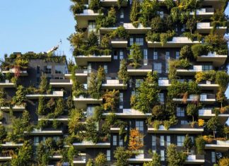 ป่าแนวตั้ง ต้นไม้บนตึกสูง เมื่อเมืองและต้นไม้ผสานกันเพื่อเอาใจคนยุคใหม่