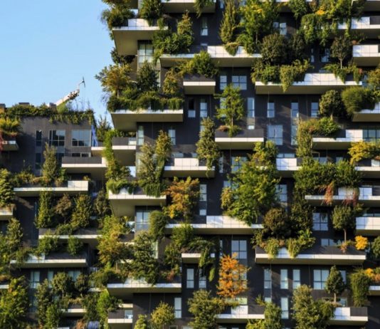 ป่าแนวตั้ง ต้นไม้บนตึกสูง เมื่อเมืองและต้นไม้ผสานกันเพื่อเอาใจคนยุคใหม่