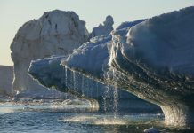 คลื่นความร้อนปี 2567 ซัดแปซิฟิกวิกฤต แนวปะการังพัง ธารน้ำแข็งใกล้สูญพันธุ์