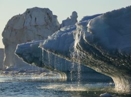 คลื่นความร้อนปี 2567 ซัดแปซิฟิกวิกฤต แนวปะการังพัง ธารน้ำแข็งใกล้สูญพันธุ์