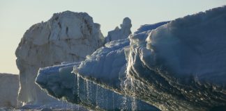 คลื่นความร้อนปี 2567 ซัดแปซิฟิกวิกฤต แนวปะการังพัง ธารน้ำแข็งใกล้สูญพันธุ์