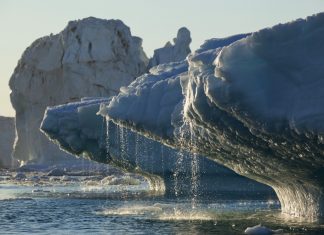 คลื่นความร้อนปี 2567 ซัดแปซิฟิกวิกฤต แนวปะการังพัง ธารน้ำแข็งใกล้สูญพันธุ์