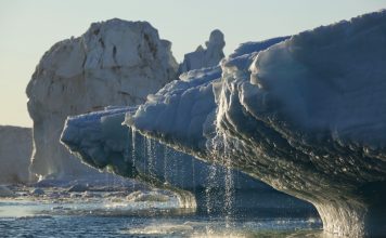 คลื่นความร้อนปี 2567 ซัดแปซิฟิกวิกฤต แนวปะการังพัง ธารน้ำแข็งใกล้สูญพันธุ์