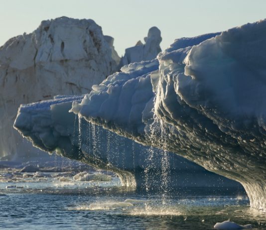 คลื่นความร้อนปี 2567 ซัดแปซิฟิกวิกฤต แนวปะการังพัง ธารน้ำแข็งใกล้สูญพันธุ์
