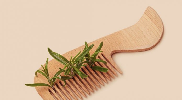 โรสแมรี่ ตัวช่วยธรรมชาติในการบำรุงเส้นผมอย่างปลอดภัยและยั่งยืน