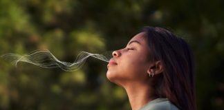 นักวิจัยพบ “ลมหายใจ” ระบุตัวตนได้แม่นยำ 96.8% เชื่อมโยงสุขภาพกาย-ใจ เตรียมต่อยอดสู่การวินิจฉัยโรค