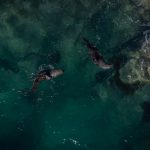 NASA เผยสีมหาสมุทรกำลังเปลี่ยน สัญญาณชีวภาพจากทะเลลึก ผลจากภาวะโลกร้อน