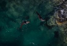 NASA เผยสีมหาสมุทรกำลังเปลี่ยน สัญญาณชีวภาพจากทะเลลึก ผลจากภาวะโลกร้อน