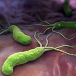 นักวิจัยพบโปรตีนสำคัญจากเชื้อโรค ช่วยยับยั้งอัลไซเมอร์ พาร์กินสันและเบาหวาน