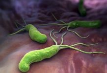 นักวิจัยพบโปรตีนสำคัญจากเชื้อโรค ช่วยยับยั้งอัลไซเมอร์ พาร์กินสันและเบาหวาน