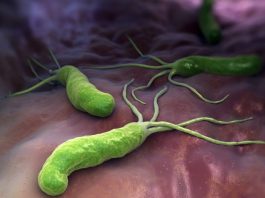 นักวิจัยพบโปรตีนสำคัญจากเชื้อโรค ช่วยยับยั้งอัลไซเมอร์ พาร์กินสันและเบาหวาน