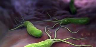 นักวิจัยพบโปรตีนสำคัญจากเชื้อโรค ช่วยยับยั้งอัลไซเมอร์ พาร์กินสันและเบาหวาน