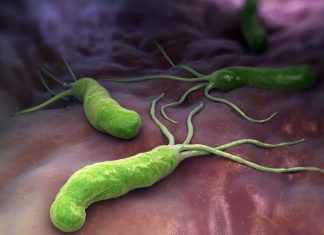 นักวิจัยพบโปรตีนสำคัญจากเชื้อโรค ช่วยยับยั้งอัลไซเมอร์ พาร์กินสันและเบาหวาน