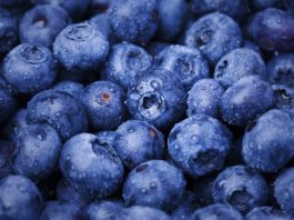 บลูเบอร์รี ผลไม้เล็กที่หัวใจรัก ลดความดัน คุมคอเลสเตอรอล ลดเสี่ยงหัวใจวาย 32%