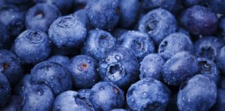 บลูเบอร์รี ผลไม้เล็กที่หัวใจรัก ลดความดัน คุมคอเลสเตอรอล ลดเสี่ยงหัวใจวาย 32%