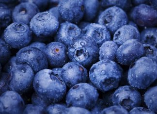บลูเบอร์รี ผลไม้เล็กที่หัวใจรัก ลดความดัน คุมคอเลสเตอรอล ลดเสี่ยงหัวใจวาย 32%