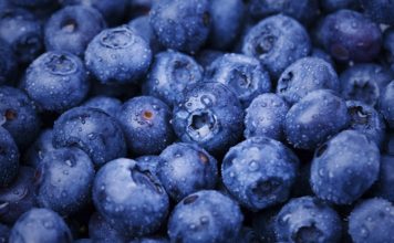 บลูเบอร์รี ผลไม้เล็กที่หัวใจรัก ลดความดัน คุมคอเลสเตอรอล ลดเสี่ยงหัวใจวาย 32%