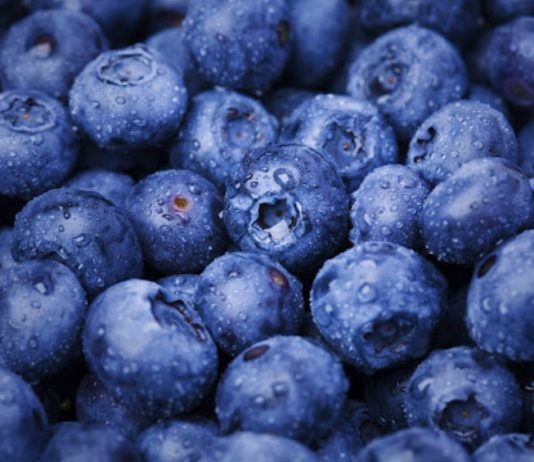 บลูเบอร์รี ผลไม้เล็กที่หัวใจรัก ลดความดัน คุมคอเลสเตอรอล ลดเสี่ยงหัวใจวาย 32%