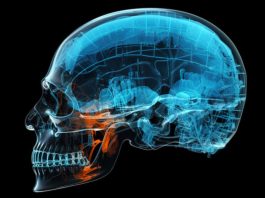 โรคเหงือก ตัวการเงียบ อาจเชื่อมโยงโรคอัลไซเมอร์ เสี่ยงสมองเสื่อมโดยไม่รู้ตัว