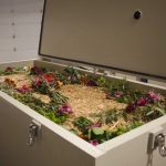 คืนชีวิตสู่ผืนดิน “Terramation” เทคโนโลยีจากลาเป็นมิตรกับโลก การกลับสู่ธรรมชาติ อีกหนึ่งทางเลือกใหม่ของการจากลา