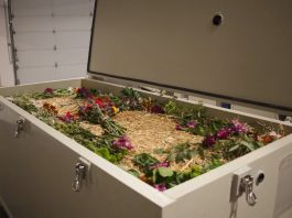 คืนชีวิตสู่ผืนดิน “Terramation” เทคโนโลยีจากลาเป็นมิตรกับโลก การกลับสู่ธรรมชาติ อีกหนึ่งทางเลือกใหม่ของการจากลา