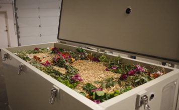 คืนชีวิตสู่ผืนดิน “Terramation” เทคโนโลยีจากลาเป็นมิตรกับโลก การกลับสู่ธรรมชาติ อีกหนึ่งทางเลือกใหม่ของการจากลา