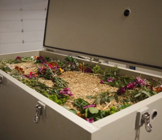 คืนชีวิตสู่ผืนดิน “Terramation” เทคโนโลยีจากลาเป็นมิตรกับโลก การกลับสู่ธรรมชาติ อีกหนึ่งทางเลือกใหม่ของการจากลา