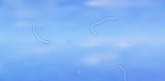 จุดลอยในตา (Eye Floaters) สัญญาณเตือนอันตรายไม่ควรมองข้าม สิ่งที่ควรรู้เพื่อป้องกันภาวะแทรกซ้อน