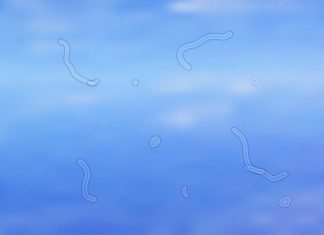 จุดลอยในตา (Eye Floaters) สัญญาณเตือนอันตรายไม่ควรมองข้าม สิ่งที่ควรรู้เพื่อป้องกันภาวะแทรกซ้อน