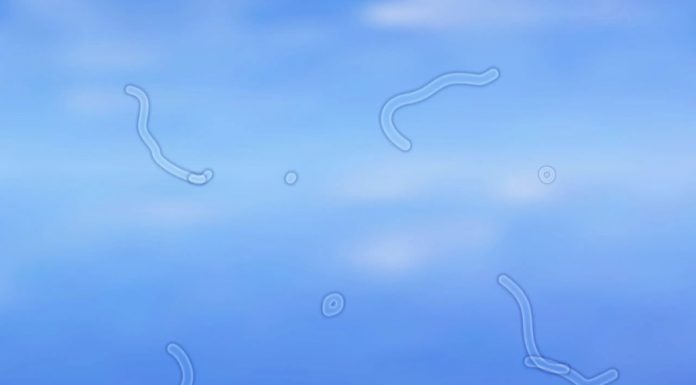 จุดลอยในตา (Eye Floaters) สัญญาณเตือนอันตรายไม่ควรมองข้าม สิ่งที่ควรรู้เพื่อป้องกันภาวะแทรกซ้อน