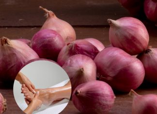 “พันหอมแดงที่ฝ่าเท้า” วิธีลดไข้หวัดได้ผลในข้ามคืน หอมแดง สมุนไพรคู่ครัวที่ช่วยบรรเทาหวัดตามแพทย์แผนไทย