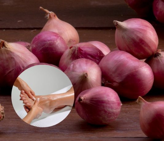 “พันหอมแดงที่ฝ่าเท้า” วิธีลดไข้หวัดได้ผลในข้ามคืน หอมแดง สมุนไพรคู่ครัวที่ช่วยบรรเทาหวัดตามแพทย์แผนไทย