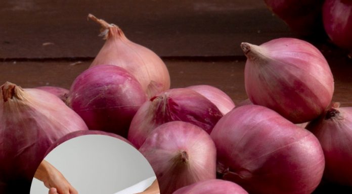 “พันหอมแดงที่ฝ่าเท้า” วิธีลดไข้หวัดได้ผลในข้ามคืน หอมแดง สมุนไพรคู่ครัวที่ช่วยบรรเทาหวัดตามแพทย์แผนไทย