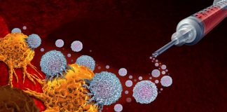 นักวิจัยพัฒนายา “ปลุกภูมิคุ้มกัน” กำจัดมะเร็งทั่วร่างกาย แม้ฉีดเพียงจุดเดียว